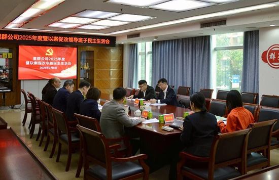 星群公司召开2025年度暨以案促改专题民主生活会