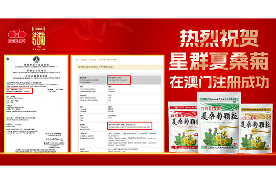 喜报！白云山星群夏桑菊获批澳门进口许可，老字号名优产品惠及更多湾区百姓